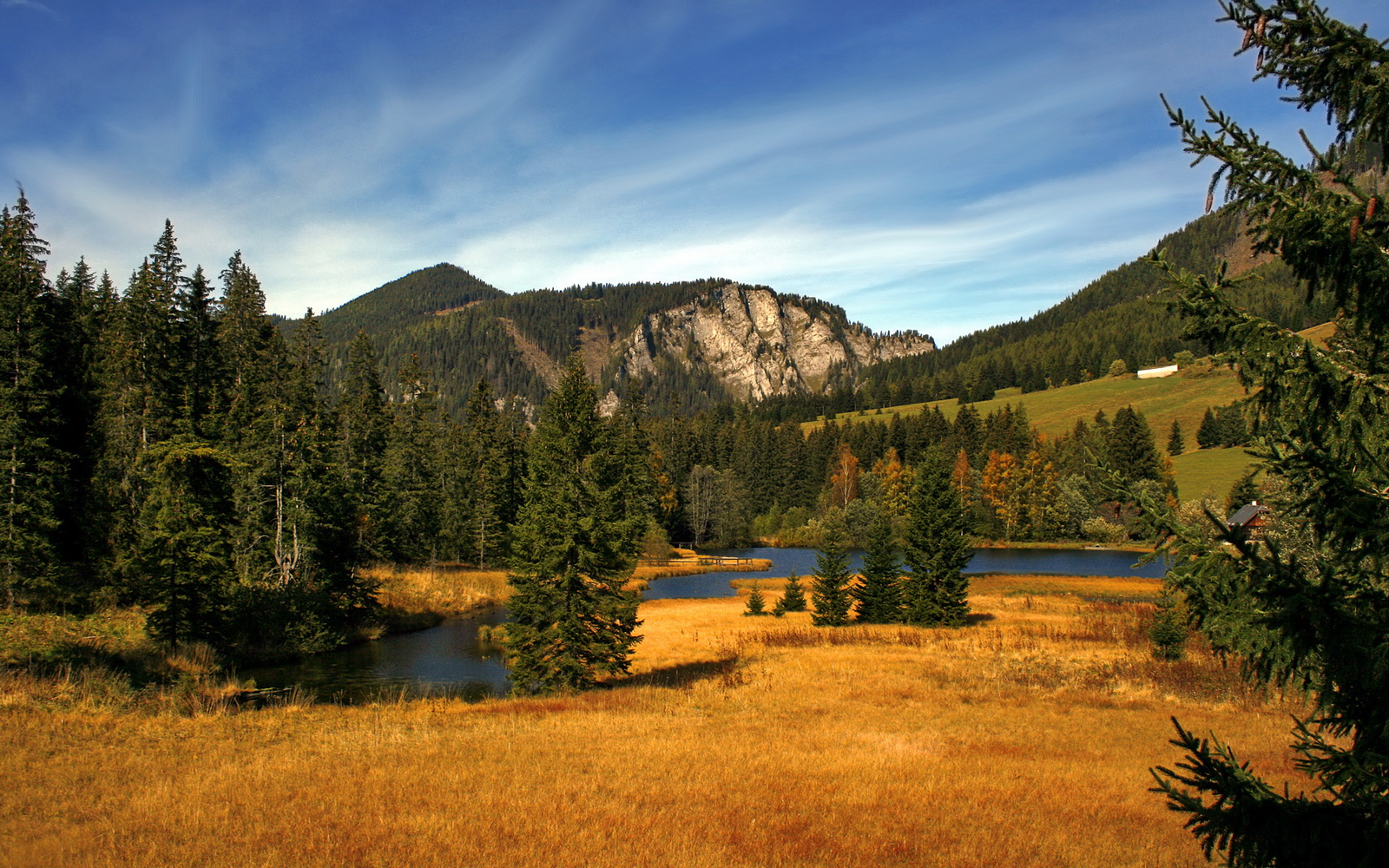 九游官网-川崎前锋主帅谈战术调整,川崎前锋球星