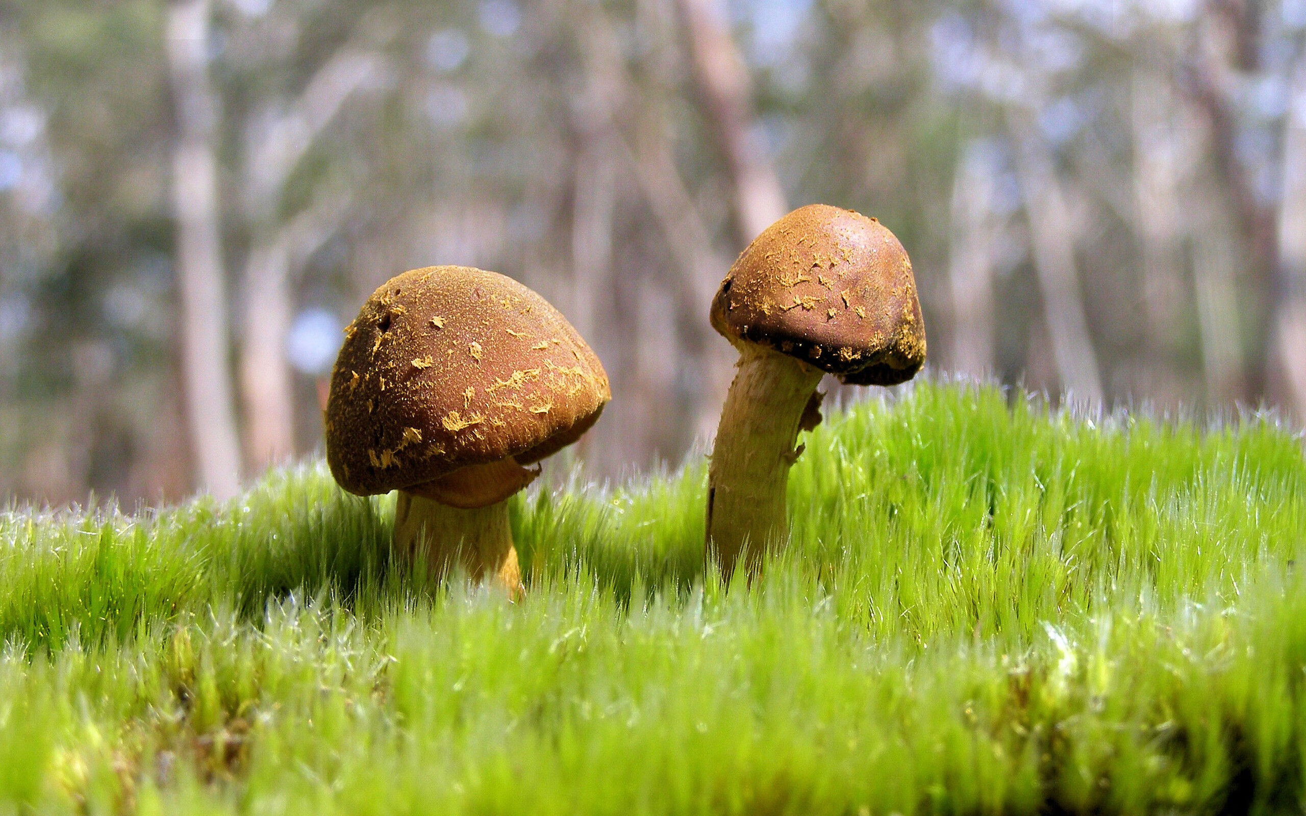 九游体育入口-电竞主播内容差异化定位与个性化营销策略，电竞主播内容差异化定位与个性化营销策略的关系