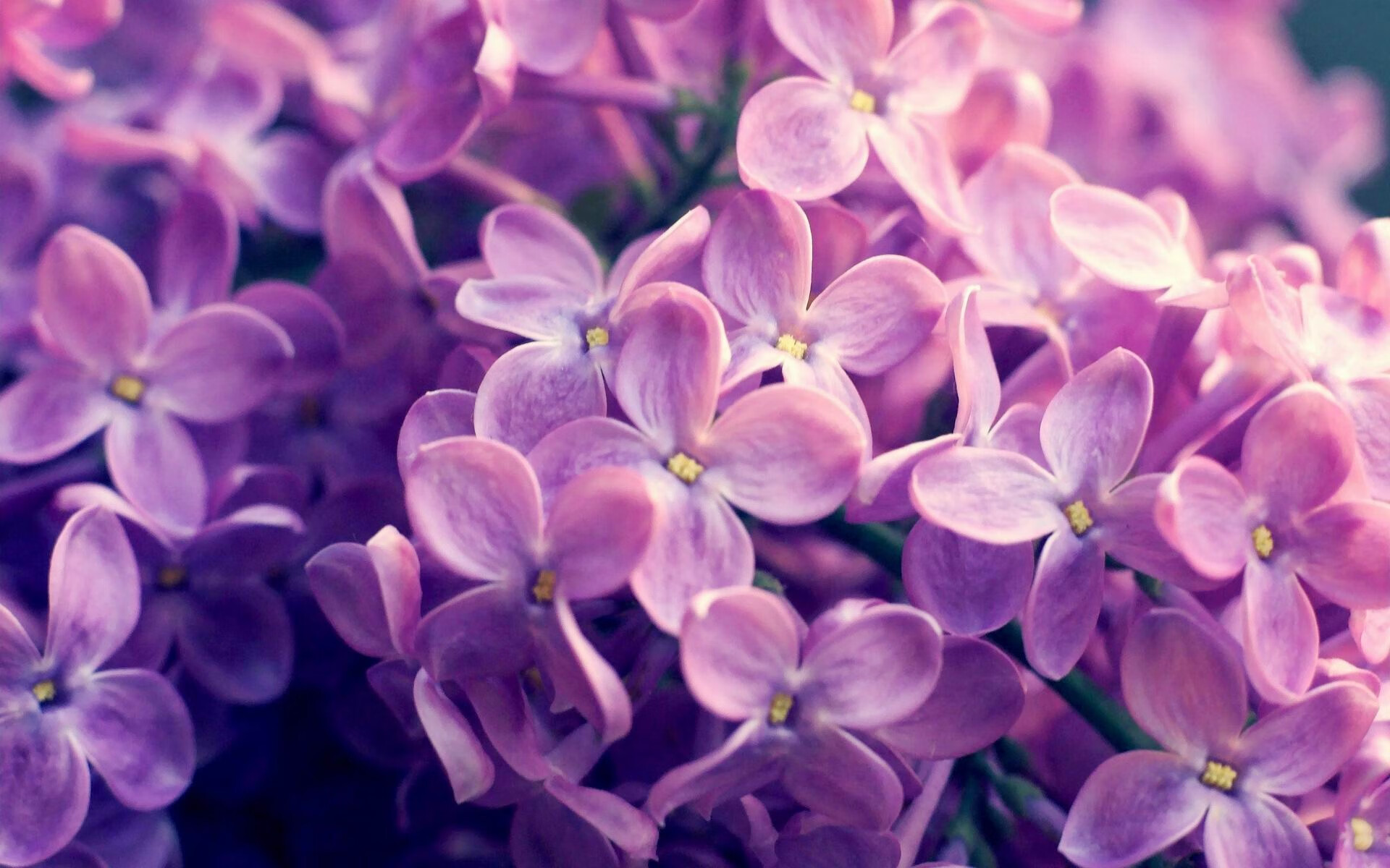 J9九游会-门神绝杀富勒姆,摩纳哥客场逆转力挺领头羊