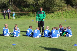 jiuyou-中国篮球教练员技术战术创新能力提升路径，篮球教练发展