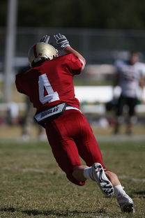 九游娱乐-德甲球队休赛期集训方式对开局表现影响，德甲青训规则