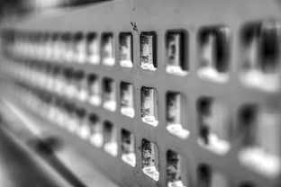 九游体育app-青少年运动损伤预防技术及实践研究，青少年运动损伤预防技术及实践研究论文