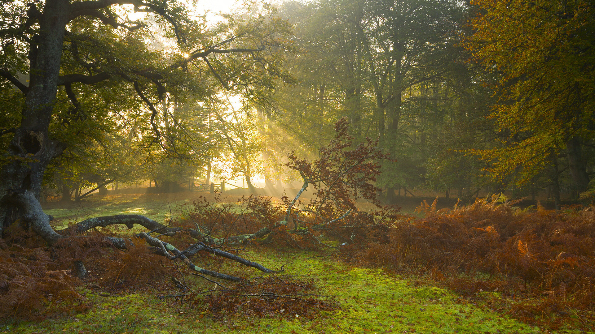 九游体育app下载-五大联赛关键场次球员心理抗压能力排行榜