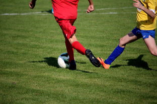 九游体育下载-国家队与俱乐部之间协调机制为何不顺畅，国家队比赛和俱乐部比赛冲突