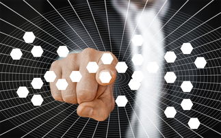 九游体育线上-蛙泳技术结构分析:谁更高效?,蛙泳的基本技术有哪些