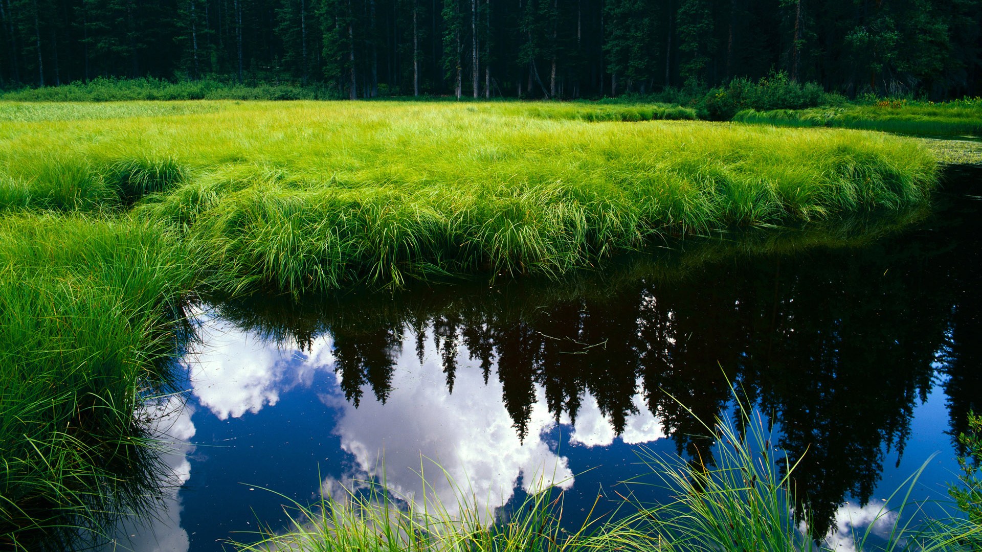 九游体育app下载-柯尔赞200米仰泳冲刺阶段表现抢眼