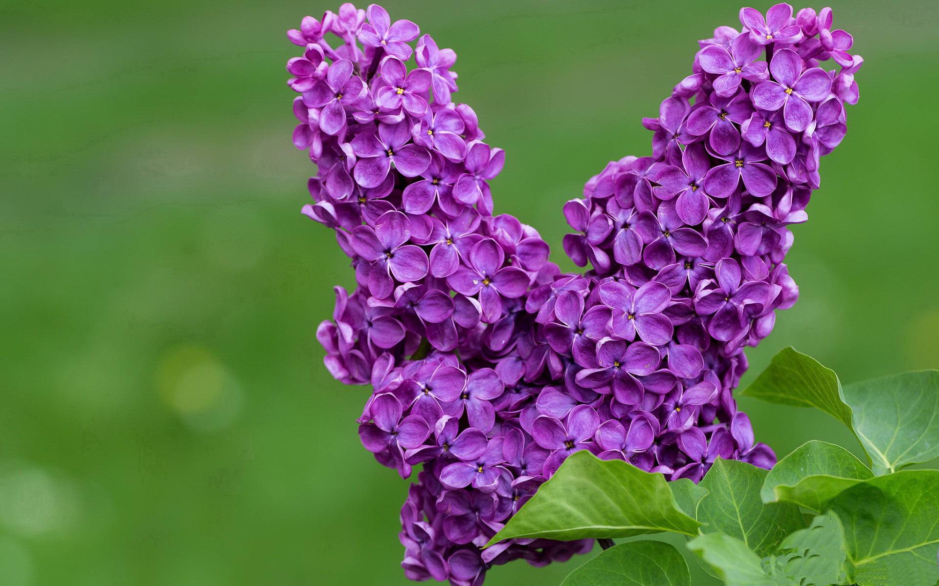 九游体育登陆-男篮训练注重半场阵地战术布置增强比赛控制力,男篮打球