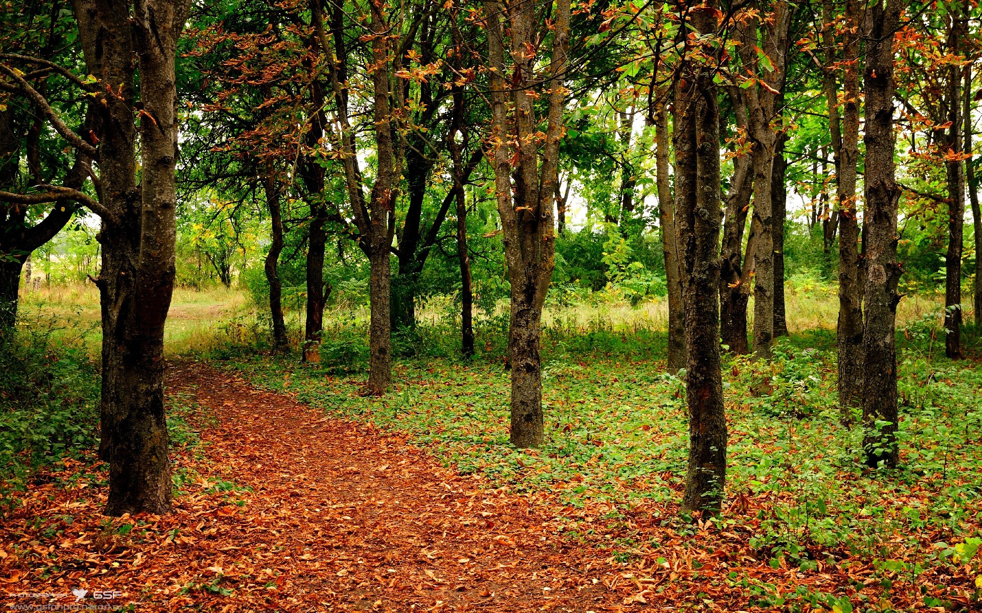 九游娱乐app下载-马拉维男篮在非洲锦标赛中再次夺冠,彰显劲旅实力,马拉维是非洲哪个国家城市