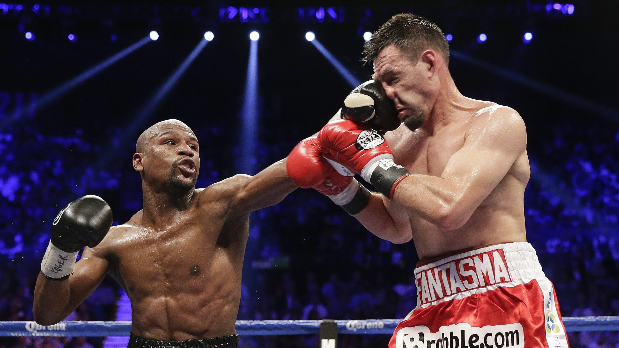 “足球场馆智能化管理系统正式投入使用”，足球场馆建设